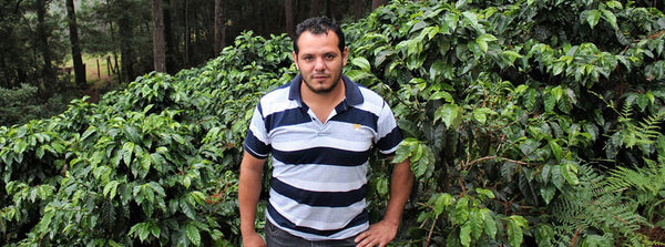 New Coffee Release: Honduras Alex Ponce Honey - Messenger Coffee