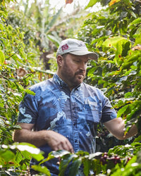 Man wearing a cap and floral shirt inspecting coffee plants in a dense green plantation outdoors