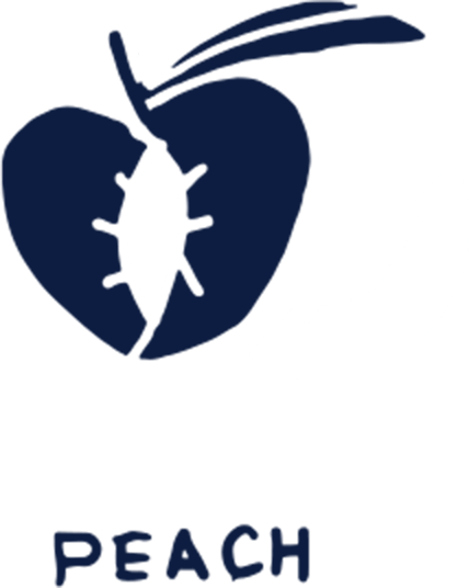 Notes of Peach