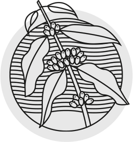 graphic icon of a coffee plant.