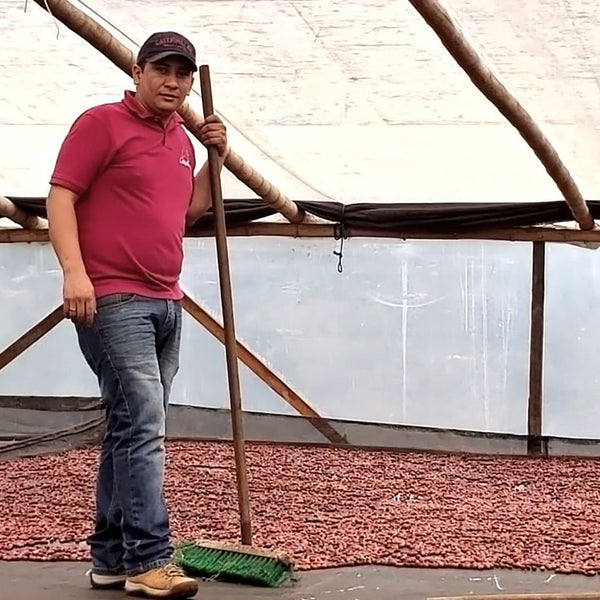 NEW COFFEE RELEASES FROM COLOMBIA - Messenger Coffee