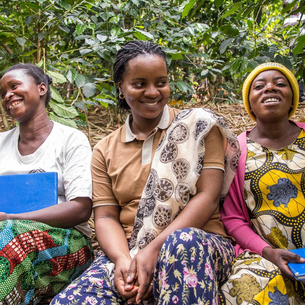 New Coffee Release: CONGO MAPENDO - Messenger Coffee