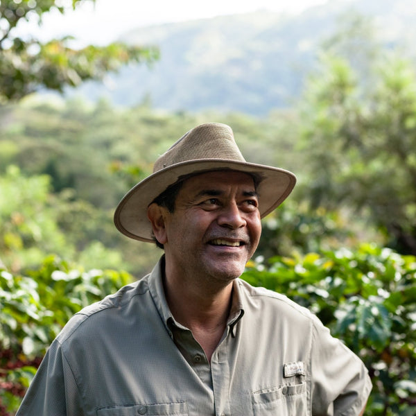 Friends of Messenger: Finca El Zapote - Messenger Coffee