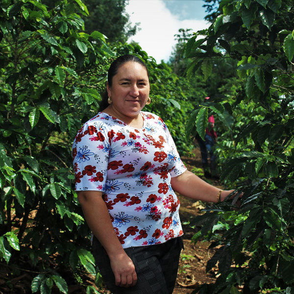 New Coffee Release: Honduras Maria Reyes Washed