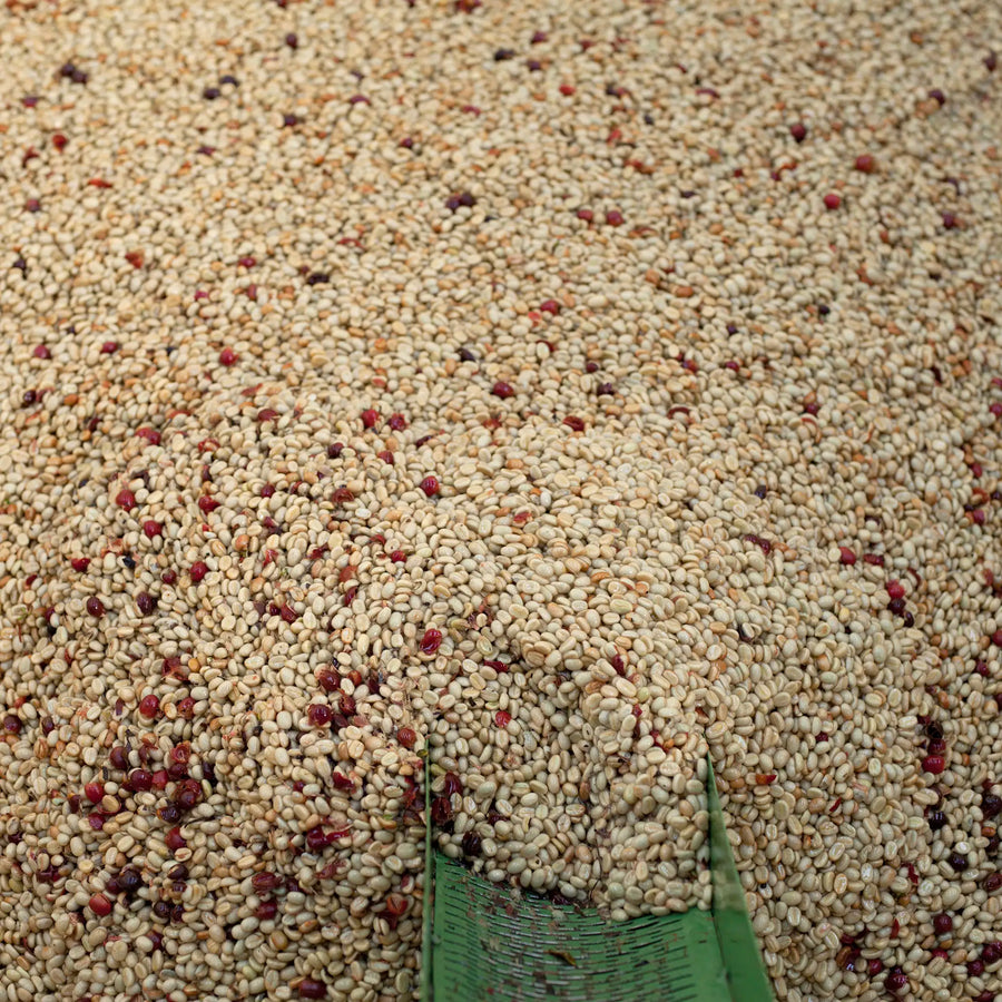 Ayla Bombe Washing Station