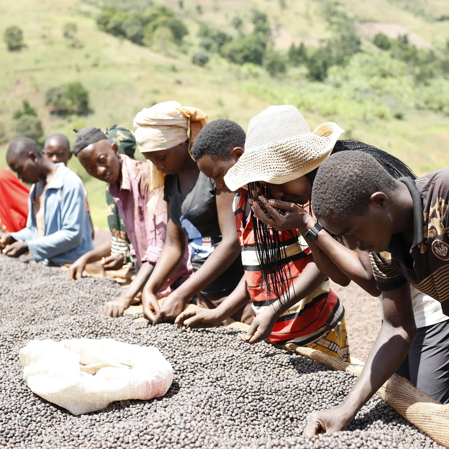 Hafi Washing Station