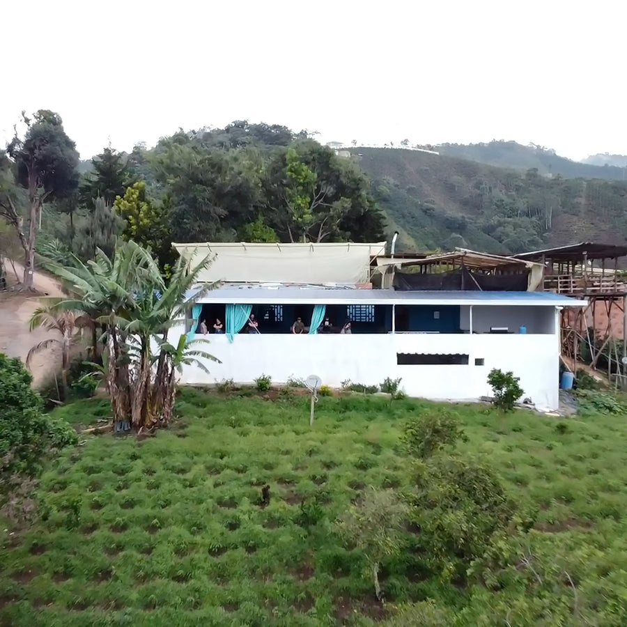Rodrigo Sanchez Washing Station