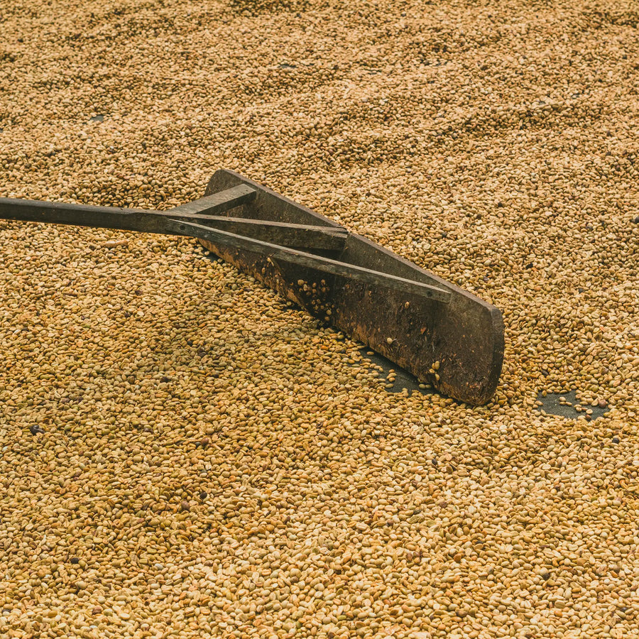Rodrigo Sanchez Washing Station