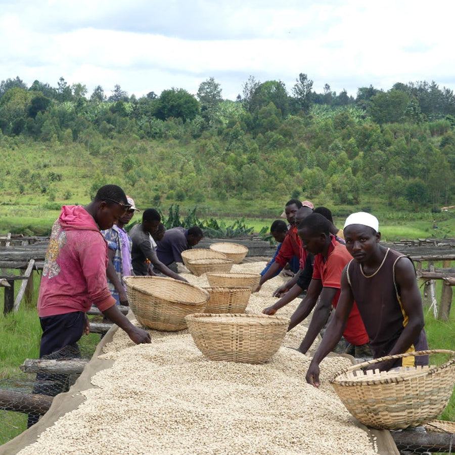 Mubuga Washing Station