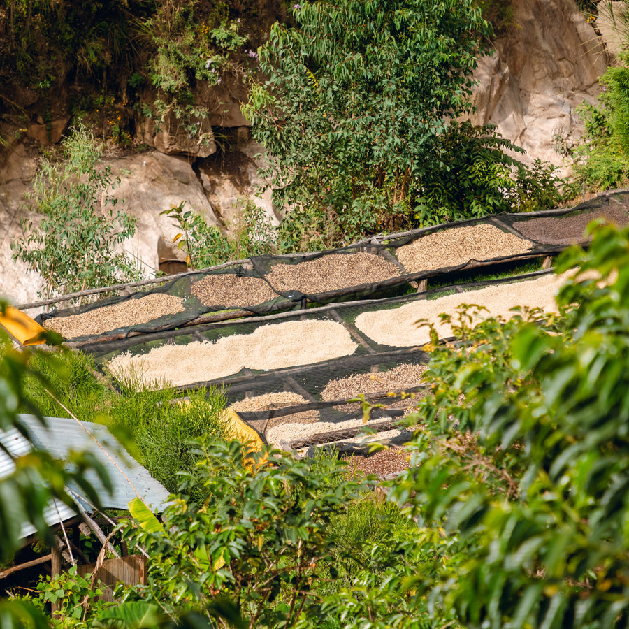 Shyira Washing Station