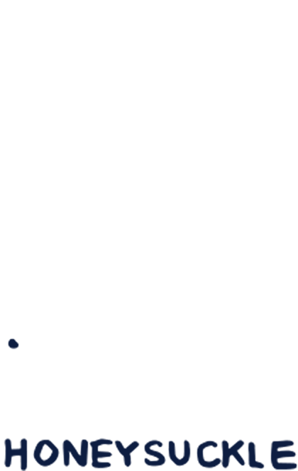 Notes of Honeysuckle